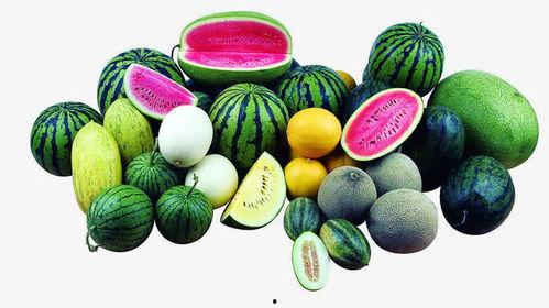 娱乐吃瓜作品有哪些类型,吃瓜群众的多元化娱乐作品类型大盘点