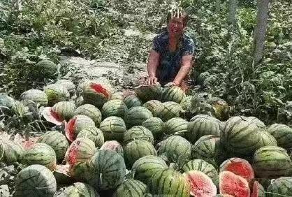 可云娱乐吃瓜,揭秘娱乐圈的“吃瓜”盛宴