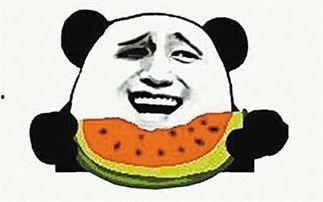 娱乐吃瓜酱抓鸡视频下载