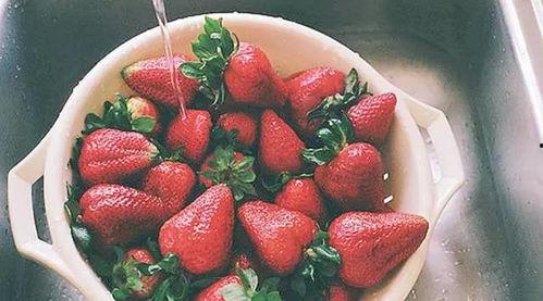 娱乐吃瓜酱草莓视频下载,娱乐吃瓜酱带你轻松获取热门娱乐内容