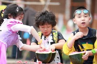 综艺娱乐吃瓜,揭秘明星幕后吃瓜大揭秘